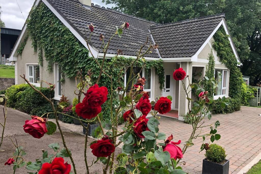 Rhubarb Cottage 에니스킬런 외부 사진